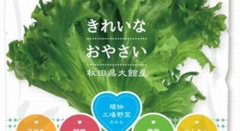 バイテックHD、1万株規模の植物工場レタス商品が秋田県大館市にて販売開始