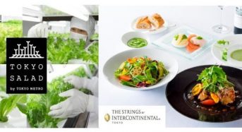 東京メトロ、自社運営する植物工場サラダが東京インターコンチネンタルのオリジナルコースに採用