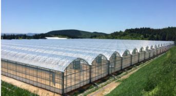JNCによるSoilless栽培システムを導入した太陽光型植物工場・大分の玖珠事業所が竣工
