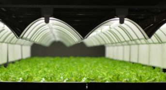 バイテックHD、鹿児島県に3カ所目の植物工場を新設。結球レタスの生産も視野に