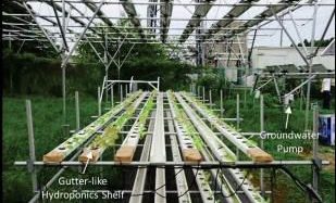セプトアグリ・千葉工業大学など共同研究による「水耕ソーラーシェアリング」に関する発表資料を公開
