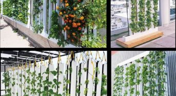 グリーンラボ、移動式・インテリア縦型の太陽光利用型植物工場システムを販売