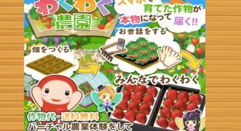 エルディが運営する『畑っぴ』で福島県の甘柿『秋王』が育成できるサービスを開始