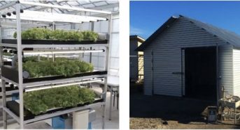 セプトアグリ、100万円でスタートできる簡易植物工場「EZ水耕ファクトリー」を販売開始