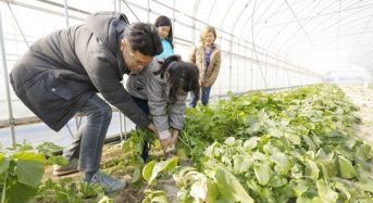 福井県、農家民宿体験を情報発信するホームページを開設