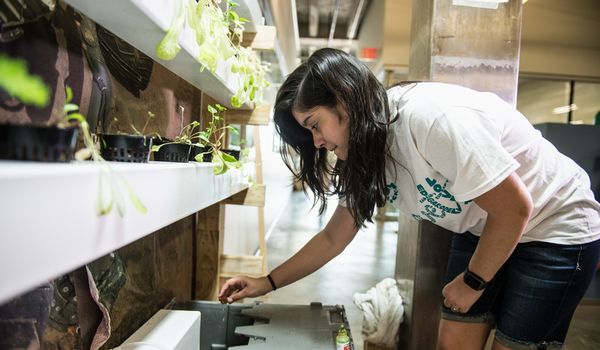米国ライス大学、学生が製作するエコ・ハウスに最適な植物工場づくり