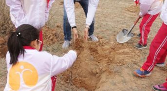 中国内モンゴル自治区に耐乾性・高栄養化「サジー」の苗木を植林