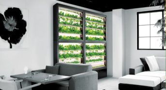 ディーグラット、超薄設計・壁面型の植物工場「SALAD WALL サラダウォール」の販売開始