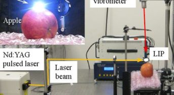 パルスレーザー照射にて青果物の品質を非接触・非破壊で評価するシステムを開発