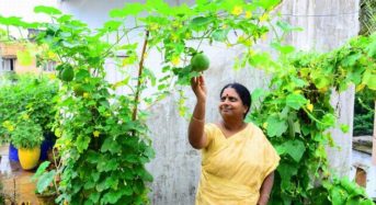インド・テランガーナ州、消費者への都市型農業プロモーションを開始