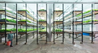 世界最大の閉鎖型・アクアポニクス植物工場が稼働。野菜はUSDA有機認証を取得