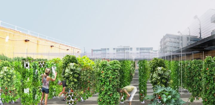 パリ市、2020年までに「グリーンシティー化」。33haの都市型農場を整備する計画