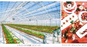 大和ハウス、京都府内・最大級のホテル併設型いちご農園をオープン