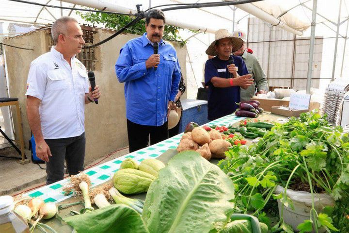 ベネズエラ「都市型農業計画2018」公表。政府主導による小規模農場が人口の20%の食料生産へ