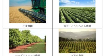 日本生命、海外農地投資ファンドへ100億円の投資。農作物の売上・農地リース料によるリターンに期待