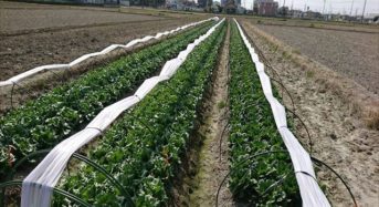 NEXCO中日本、農地所有適格法人を設立。農業により高速道路沿線地域を活性化
