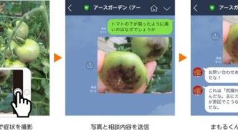 アース製薬、LINEによる無料園芸相談サービス。ユーザー登録数が約3万人に