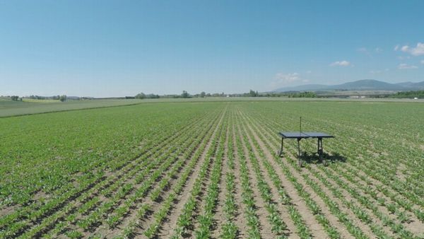 スイスのベンチャー、AI技術を導入した農薬散布マシーンを開発