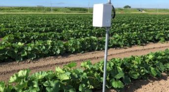 西松建設、LPWAとIoT技術を活用し農業分野で計測監視システムの実証実験を開始