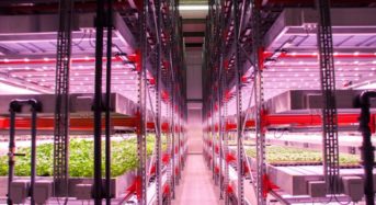 英国政府、約28億円をかけてハイテク農業技術を公募。革新的なイノベーション支援へ