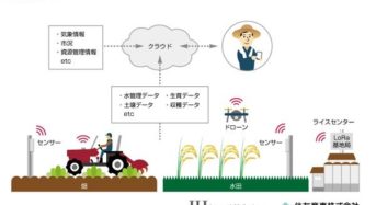 IIJと住友商事、先進農業に関する業務提携。各種センサーを導入した農作業の効率化へ