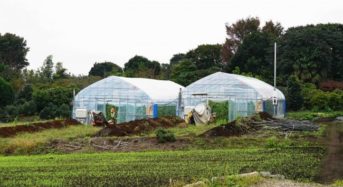 農業AIブレーン「e-kakashi」の実証実験を行うハウス農園「BASE」が横浜に誕生