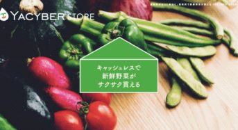 新鮮野菜がスマホアプリにてキャッシュレス購入。無人直売所「YACYBER store」がオープン