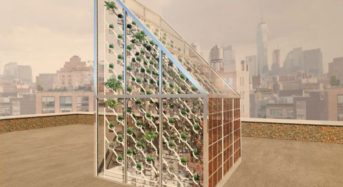 オランダ、都市生活にマッチした自家発電が可能な植物工場モジュールを開発