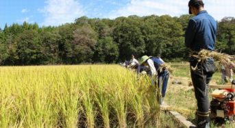 奈良県初・奈良市東部地域が「どぶろく特区」に認定。農家民宿や農園レストランも推進