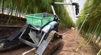 AI野菜収穫ロボットを開発するinaho、九州進出となる拠点を佐賀県に新設