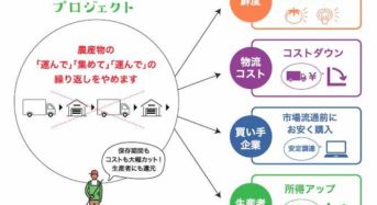 JA横浜とNTTドコモなど、神奈川県で生産者と買い手のマッチング実証へ