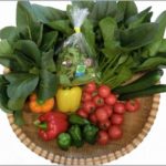 日本トリム、電解水素水による機能性野菜を限定販売