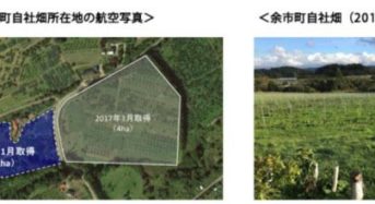 アサヒ、北海道余市町に日本ワイン用ぶどう畑の農地を2ha追加取得