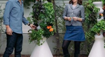 米国の有名女優がタワー型水耕キットを販売。多忙な生活にも自家栽培・料理するライフスタイルの提案