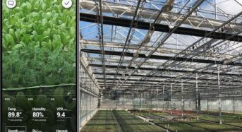 施設園芸・植物工場のAI栽培管理、米国ベンチャーが750万ドルの資金調達を実施