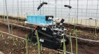 inahoのアスパラガス収穫ロボットを新たに公開