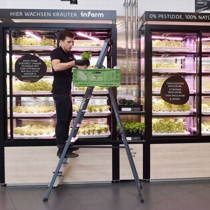 ドイツのスーパーEdeka、インファーム社による店舗併設型の植物工場モデルを加速