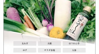 IYaSaKaストア脳育ラボ、無農薬・無化学肥料の野菜と発酵調味料をセットで販売