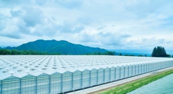 サラダボウル、NTT東日本と太陽光利用型植物工場のソリューション開発に向け協業へ