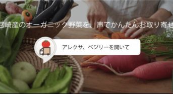 Alexaアレクサで宮崎産オーガニック野菜が買える、Amazon Pay対応 Alexaスキル「VEGERY」をリリース