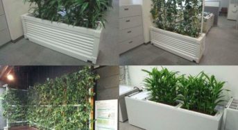 中国電力など、水耕栽培による壁面・屋内緑化システムの販売＆レンタル開始