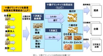 十勝グランナッツ合同会社、落花生を軸とした地域内バリューチェーン創出へ