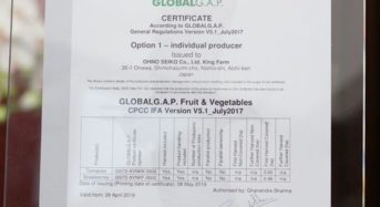 精密部品加工の大野精工、環境制御型の施設栽培トマト・イチゴ農場がグローバルGAP認証を取得