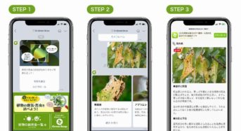 LINEで写真を撮るだけで病気と害虫を特定。ドクターグリーンスナップをリリース