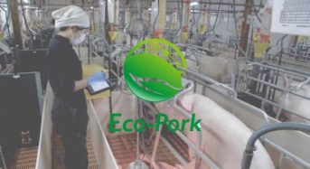 リアルテックファンド、最新技術と環境負荷低減を実現する養豚ベンチャー「Eco-Pork」へ出資