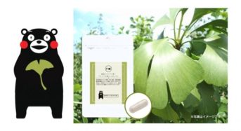 コイル、熊本県産イチョウ葉100％使用した高品質サプリを新発売