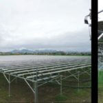 ニッショク、滋賀県愛荘町にソーラーシェアリングを設置。太陽光パネル下にてニンニクを栽培