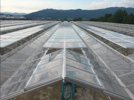 次世代足場のタカミヤ、キュウリの大規模・最新植物工場の建設を受注「ゆめファーム全農SAGA」