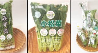 東京野菜応援プロジェクトが今月末から開始。東京野菜が都内スーパーなどで100円で販売