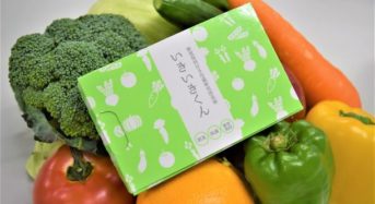 天然由来成分のみで野菜の鮮度保持・抗菌が可能な冷蔵庫用消臭剤「いきいきくん」発売